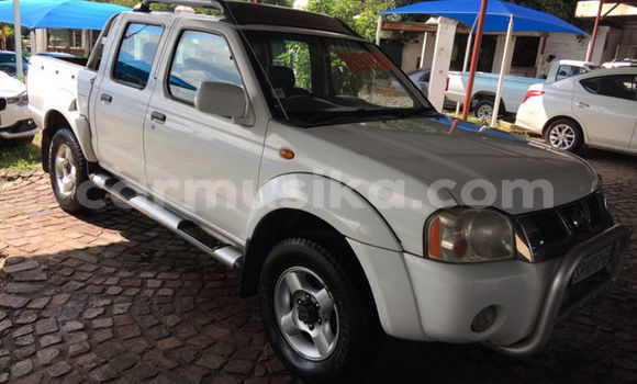 Buy Used Nissan Hardbody White Car in Beitbridge in Matabeleland South