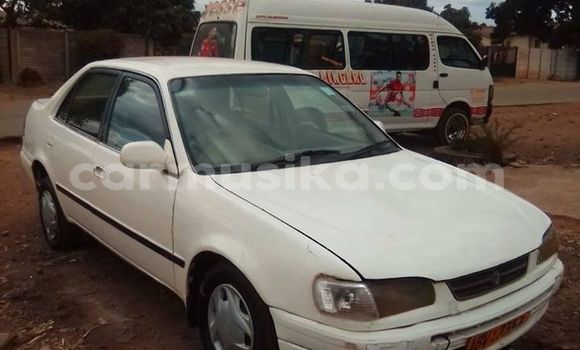 Nunua Ilio tumika Toyota Corolla Nyeupe Gari ndani ya Harare nchini Harare