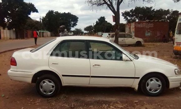 Tenga Tsaru Toyota Corolla Chena Mota in Harare in Harare Tenga Tsaru Toyota Corolla Chena Mota in Harare in Harare