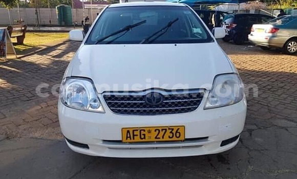 Nunua Ilio tumika Toyota Runx Nyeupe Gari ndani ya Harare nchini Harare