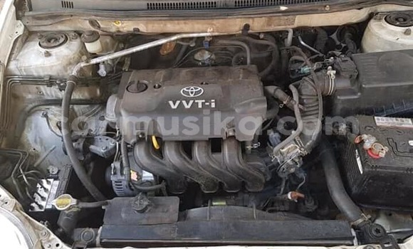 Buy Used Toyota Runx White Car in Harare in Harare Buy Used Toyota Runx White Car in Harare in Harare