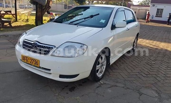 Buy Used Toyota Runx White Car in Harare in Harare Buy Used Toyota Runx White Car in Harare in Harare