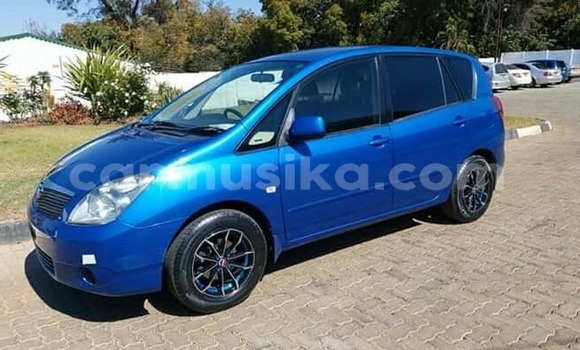 Buy Used Toyota Spacio Blue Car in Harare in Harare Buy Used Toyota Spacio Blue Car in Harare in Harare