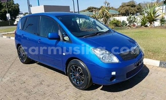 Buy Used Toyota Spacio Blue Car in Harare in Harare Buy Used Toyota Spacio Blue Car in Harare in Harare