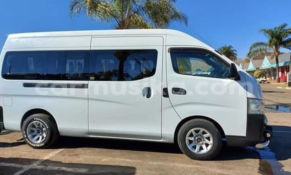 Tenga Tsaru Nissan Caravan Chena Mota in Harare in Harare