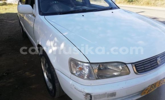 Tenga Tsaru Toyota Corolla Chena Mota in Harare in Harare Tenga Tsaru Toyota Corolla Chena Mota in Harare in Harare