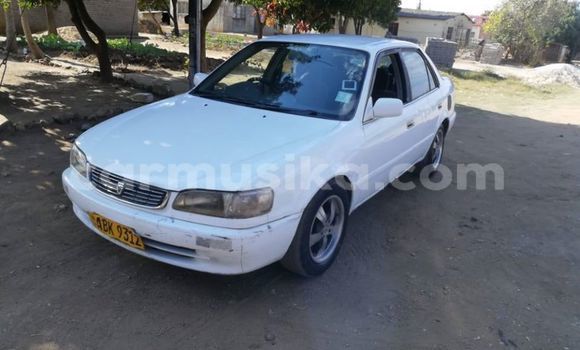 Tenga Tsaru Toyota Corolla Chena Mota in Harare in Harare Tenga Tsaru Toyota Corolla Chena Mota in Harare in Harare