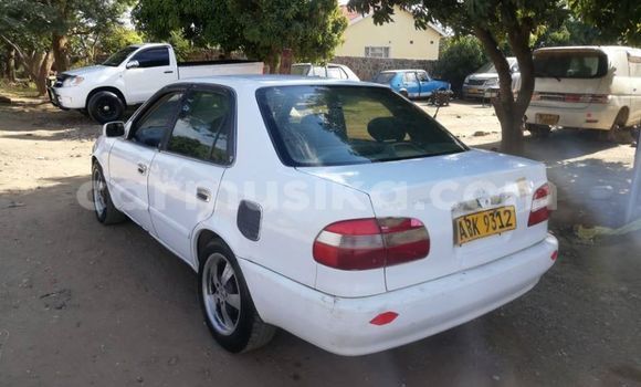 Tenga Tsaru Toyota Corolla Chena Mota in Harare in Harare Tenga Tsaru Toyota Corolla Chena Mota in Harare in Harare