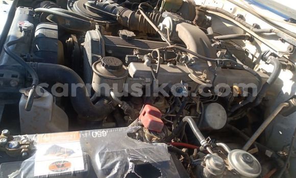 Tenga Tsaru Toyota Land Cruiser Chena Mota in Harare in Harare Tenga Tsaru Toyota Land Cruiser Chena Mota in Harare in Harare