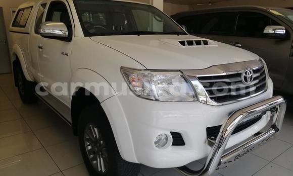 Tenga Tsaru Toyota Hilux Chena Mota in Beitbridge in Matabeleland South Tenga Tsaru Toyota Hilux Chena Mota in Beitbridge in Matabeleland South