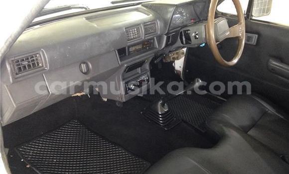 Nunua Ilio tumika Toyota Hilux Nyeupe Gari ndani ya Beitbridge nchini Matabeleland Kusini Nunua Ilio tumika Toyota Hilux Nyeupe Gari ndani ya Beitbridge nchini Matabeleland Kusini