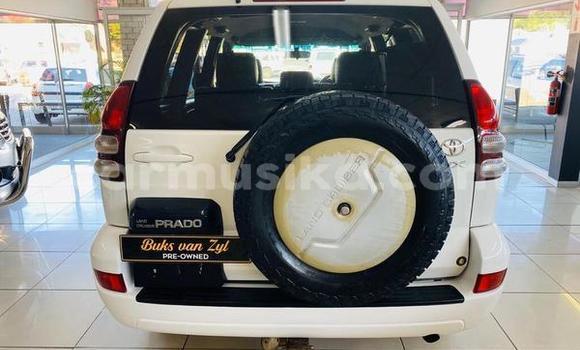 Nunua Ilio tumika Toyota Land Cruiser Prado Nyeupe Gari ndani ya Beitbridge nchini Matabeleland Kusini Nunua Ilio tumika Toyota Land Cruiser Prado Nyeupe Gari ndani ya Beitbridge nchini Matabeleland Kusini