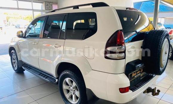 Nunua Ilio tumika Toyota Land Cruiser Prado Nyeupe Gari ndani ya Beitbridge nchini Matabeleland Kusini Nunua Ilio tumika Toyota Land Cruiser Prado Nyeupe Gari ndani ya Beitbridge nchini Matabeleland Kusini