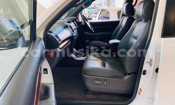 Nunua Ilio tumika Toyota Land Cruiser Prado Nyeupe Gari ndani ya Beitbridge nchini Matabeleland Kusini Nunua Ilio tumika Toyota Land Cruiser Prado Nyeupe Gari ndani ya Beitbridge nchini Matabeleland Kusini