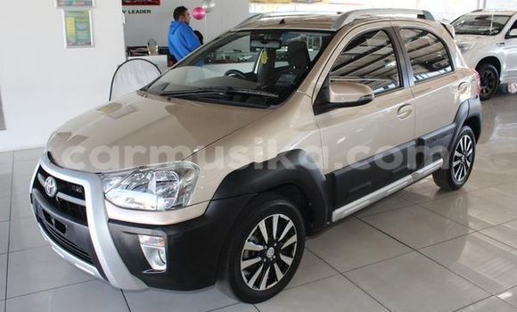 Tenga Tsaru Toyota Etios Zvimwe Mota in Harare in Harare Tenga Tsaru Toyota Etios Zvimwe Mota in Harare in Harare