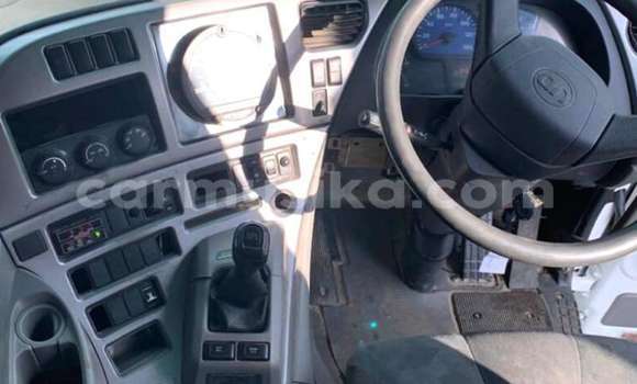 Nunua Ilio tumika Nissan UD Nyeupe Lori ndani ya Beitbridge nchini Matabeleland Kusini