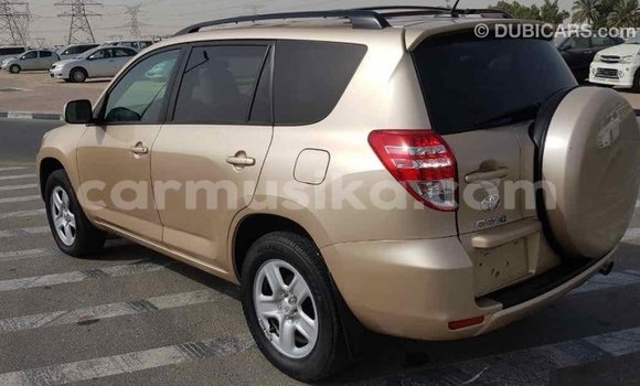 Acheter Import Voiture Toyota RAV4 Autre à Import - Dubai, Harare Acheter Import Voiture Toyota RAV4 Autre à Import - Dubai, Harare