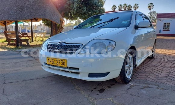 Buy Used Toyota Runx White Car in Harare in Harare Buy Used Toyota Runx White Car in Harare in Harare
