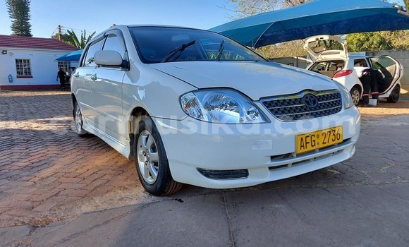 Buy Used Toyota Runx White Car in Harare in Harare Buy Used Toyota Runx White Car in Harare in Harare