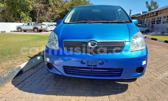 Buy Used Toyota Spacio Blue Car in Harare in Harare