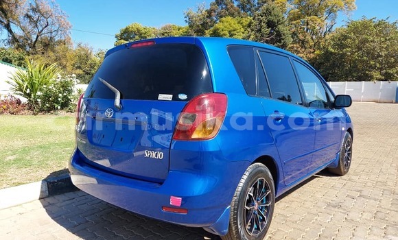 Buy Used Toyota Spacio Blue Car in Harare in Harare Buy Used Toyota Spacio Blue Car in Harare in Harare