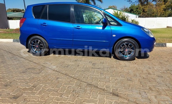 Buy Used Toyota Spacio Blue Car in Harare in Harare Buy Used Toyota Spacio Blue Car in Harare in Harare