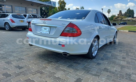 Buy Used Mercedes‒Benz E–Class White Car in Harare in Harare Buy Used Mercedes‒Benz E–Class White Car in Harare in Harare