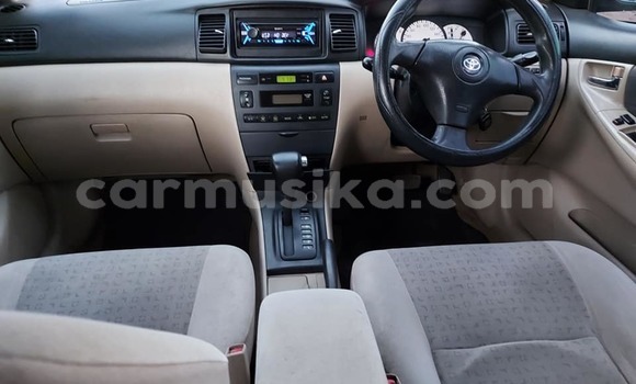 Buy Used Toyota Runx Silver Car in Harare in Harare Buy Used Toyota Runx Silver Car in Harare in Harare