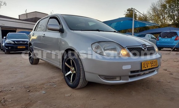 Buy Used Toyota Runx Silver Car in Harare in Harare Buy Used Toyota Runx Silver Car in Harare in Harare