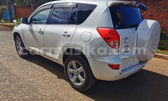 Buy Used Toyota RAV4 White Car in Harare in Harare Buy Used Toyota RAV4 White Car in Harare in Harare