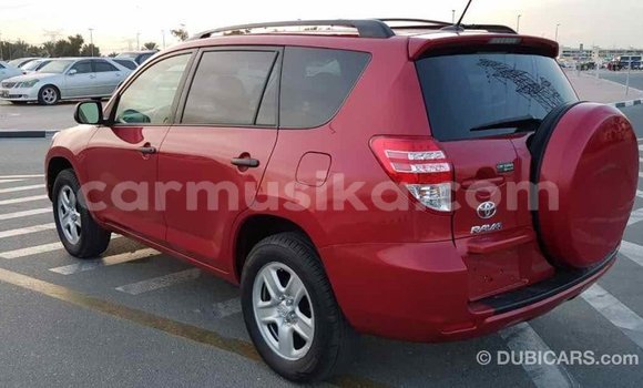 Tenga Imported Toyota RAV4 Tsvuku Mota in Import - Dubai in Harare Tenga Imported Toyota RAV4 Tsvuku Mota in Import - Dubai in Harare