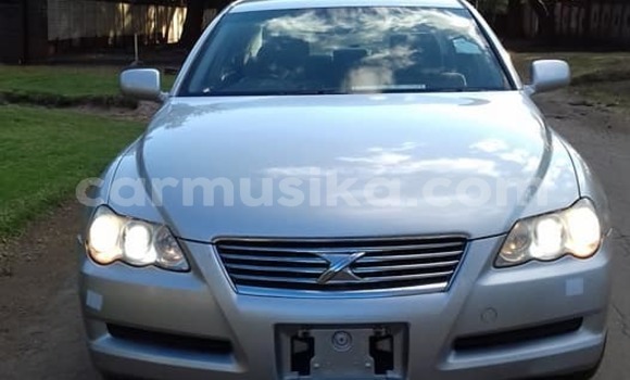 Tenga Tsaru Toyota Mark X Sirivha Mota in Harare in Harare