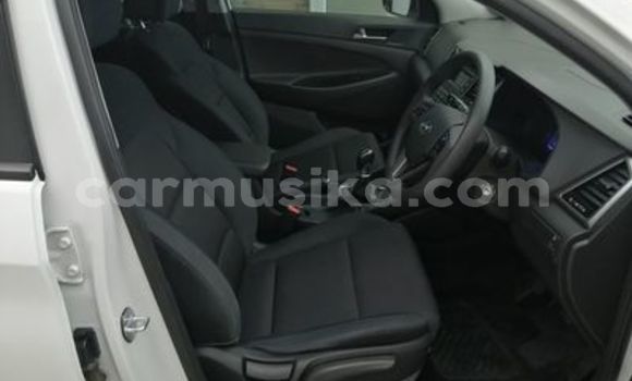 Nunua Ilio tumika Hyundai Tucson Nyeupe Gari ndani ya Beitbridge nchini Matabeleland Kusini Nunua Ilio tumika Hyundai Tucson Nyeupe Gari ndani ya Beitbridge nchini Matabeleland Kusini