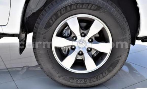 Acheter Occasion Voiture Toyota Hilux Blanc à Beitbridge, Matabeleland South Acheter Occasion Voiture Toyota Hilux Blanc à Beitbridge, Matabeleland South