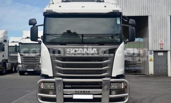 Tenga Tsaru Scania R420 Chena Rori in Beitbridge in Matabeleland South Tenga Tsaru Scania R420 Chena Rori in Beitbridge in Matabeleland South