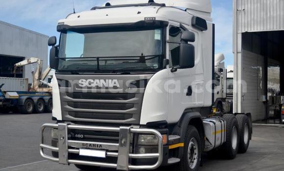 Tenga Tsaru Scania R420 Chena Rori in Beitbridge in Matabeleland South Tenga Tsaru Scania R420 Chena Rori in Beitbridge in Matabeleland South
