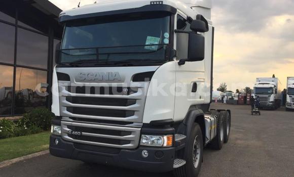 Tenga Tsaru Scania R420 Chena Rori in Beitbridge in Matabeleland South Tenga Tsaru Scania R420 Chena Rori in Beitbridge in Matabeleland South