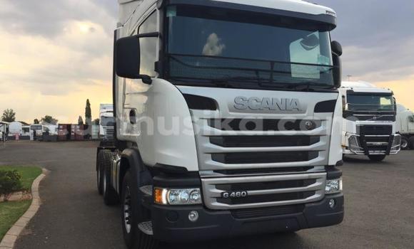 Tenga Tsaru Scania R420 Chena Rori in Beitbridge in Matabeleland South Tenga Tsaru Scania R420 Chena Rori in Beitbridge in Matabeleland South