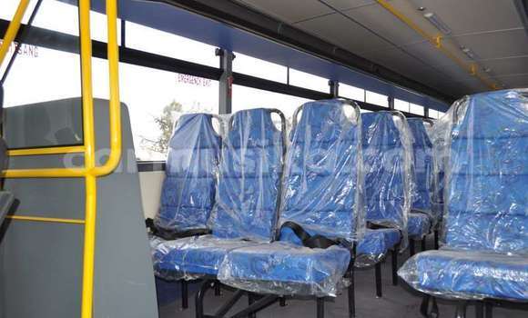 Tenga Tsaru DAF CF Chena Rori in Beitbridge in Matabeleland South Tenga Tsaru DAF CF Chena Rori in Beitbridge in Matabeleland South