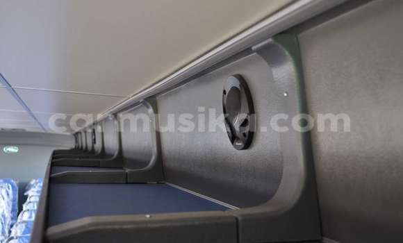 Tenga Tsaru DAF CF Chena Rori in Beitbridge in Matabeleland South Tenga Tsaru DAF CF Chena Rori in Beitbridge in Matabeleland South