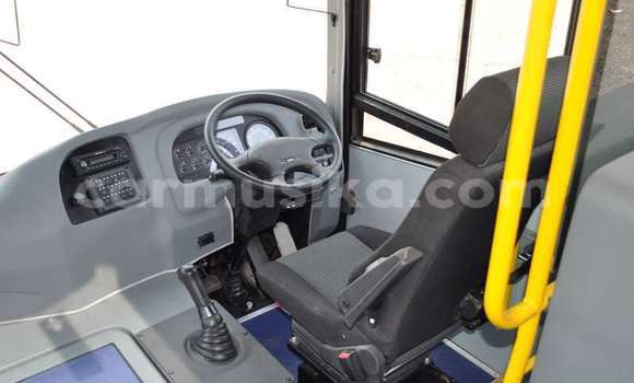 Tenga Tsaru DAF CF Chena Rori in Beitbridge in Matabeleland South Tenga Tsaru DAF CF Chena Rori in Beitbridge in Matabeleland South