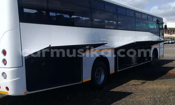 Tenga Tsaru DAF CF Chena Rori in Beitbridge in Matabeleland South Tenga Tsaru DAF CF Chena Rori in Beitbridge in Matabeleland South
