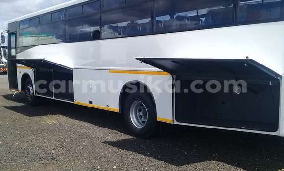 Tenga Tsaru DAF CF Chena Rori in Beitbridge in Matabeleland South Tenga Tsaru DAF CF Chena Rori in Beitbridge in Matabeleland South