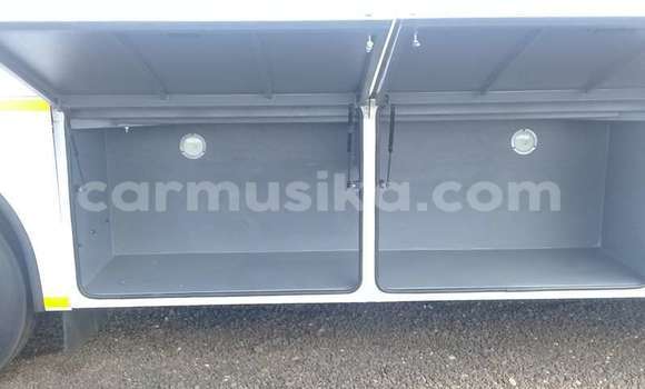 Tenga Tsaru DAF CF Chena Rori in Beitbridge in Matabeleland South Tenga Tsaru DAF CF Chena Rori in Beitbridge in Matabeleland South