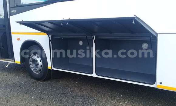 Tenga Tsaru DAF CF Chena Rori in Beitbridge in Matabeleland South Tenga Tsaru DAF CF Chena Rori in Beitbridge in Matabeleland South