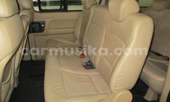 Tenga Tsaru Hyundai H1 Sirivha Mota in Beitbridge in Matabeleland South Tenga Tsaru Hyundai H1 Sirivha Mota in Beitbridge in Matabeleland South