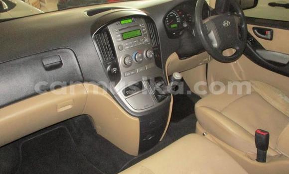 Tenga Tsaru Hyundai H1 Sirivha Mota in Beitbridge in Matabeleland South Tenga Tsaru Hyundai H1 Sirivha Mota in Beitbridge in Matabeleland South