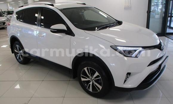 Buy Used Toyota RAV4 White Car in Beitbridge in Matabeleland South