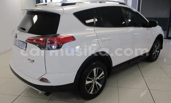 Tenga Tsaru Toyota RAV4 Chena Mota in Beitbridge in Matabeleland South Tenga Tsaru Toyota RAV4 Chena Mota in Beitbridge in Matabeleland South