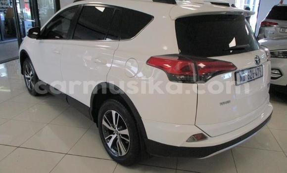 Tenga Tsaru Toyota RAV4 Chena Mota in Beitbridge in Matabeleland South Tenga Tsaru Toyota RAV4 Chena Mota in Beitbridge in Matabeleland South